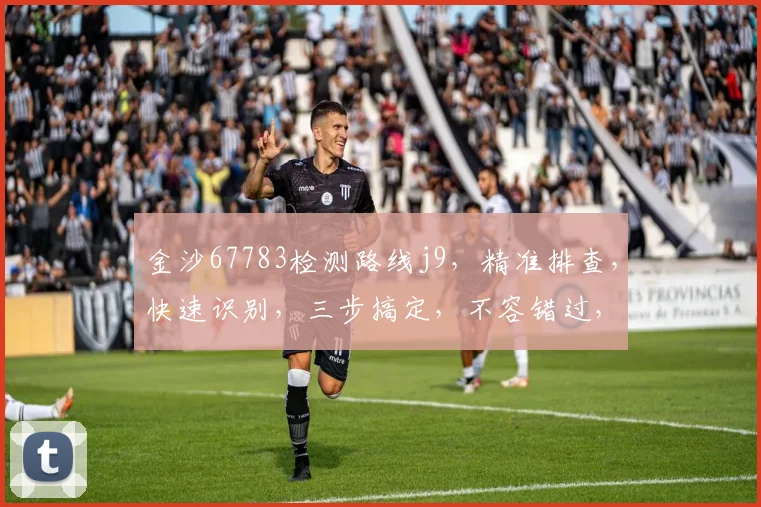 金沙67783检测路线j9，精准排查，快速识别，三步搞定，不容错过，高效便捷